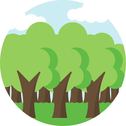 imagen bosque primario