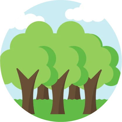 imagen bosque secundario